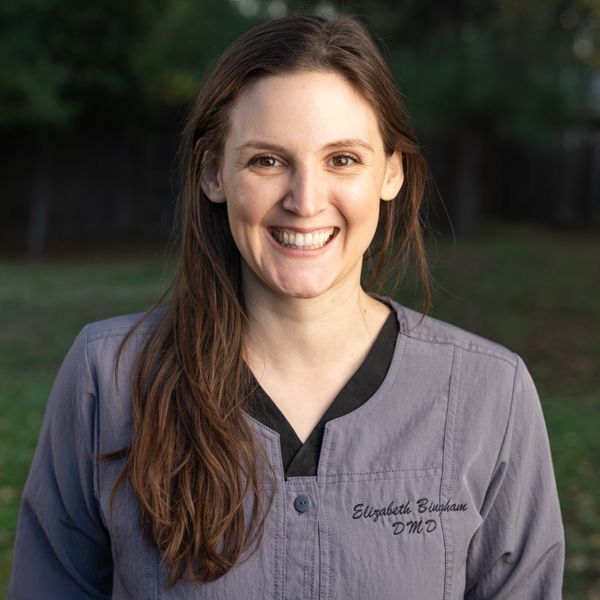 Dr. Elizabeth Bingham, DMD